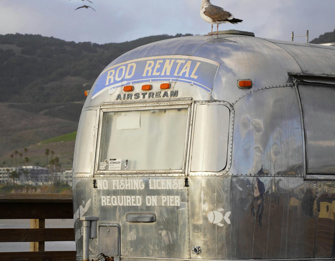 A seagull perches on an Airstream trailer overlooking the scenic Pismo Beach Pier, California.